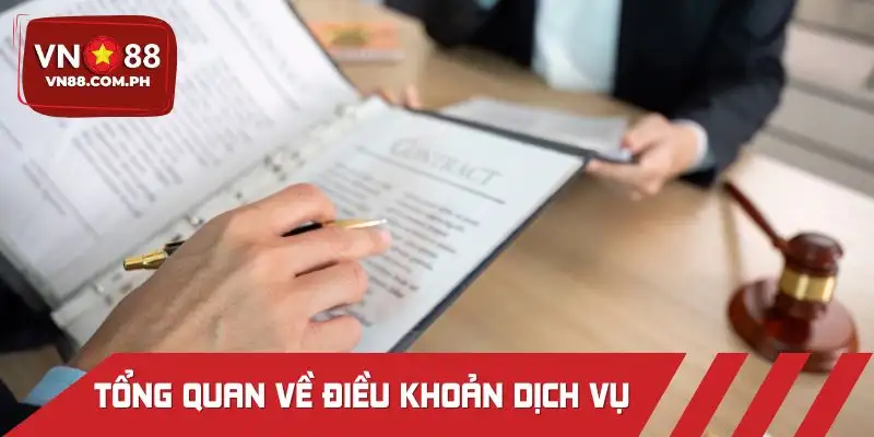 Điều khoản dịch vụ là nguyên tắc thiết yếu mà bất kỳ ai cũng cần nhớ