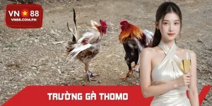 Trường Gà Thomo - Đấu Trường Sinh Tử Bậc Nhất Châu Á